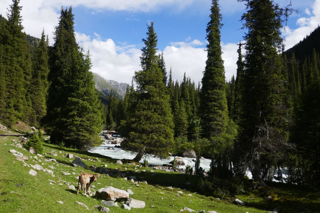 IMG-20221102-WA0065