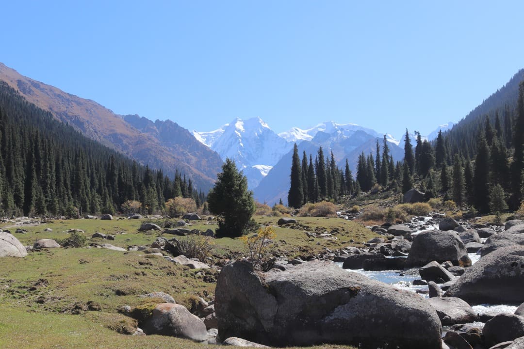 IMG-20221102-WA0066