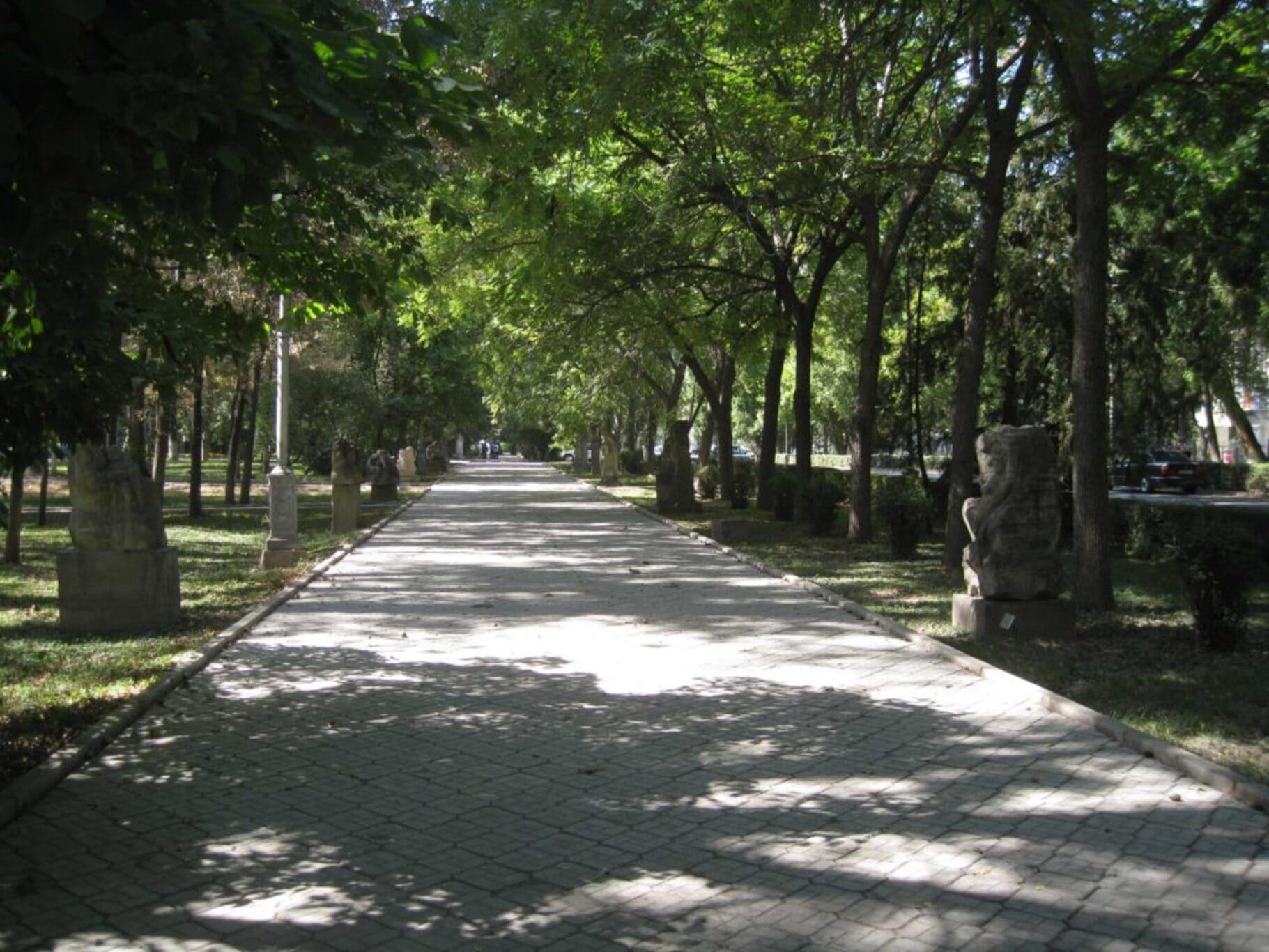 59846722-1024x768